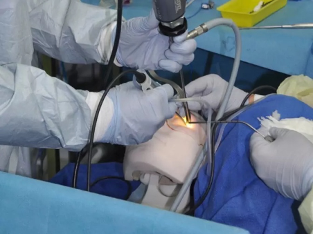 Anatomex 3D Transorbital Surgical Simulation Model
